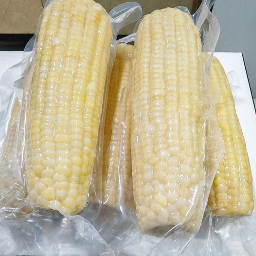 有机种植黑糯玉米/高叶酸玉米双拼丨农科院十年心血培育【2025年新玉米】 商品图6