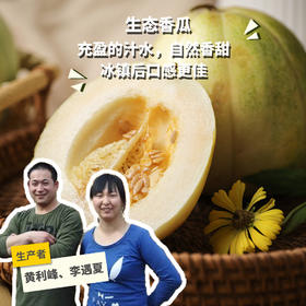 生态香瓜（甜瓜，河北） | 合作生产*Ecological cantaloupe | Partner Production