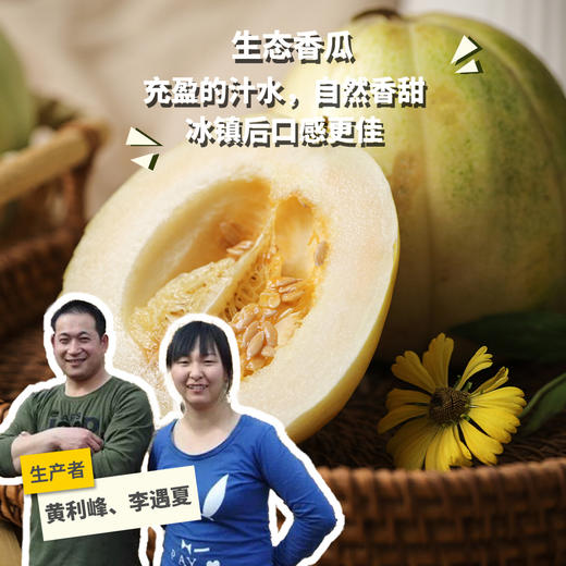 生态香瓜（甜瓜，河北） | 合作生产*Ecological cantaloupe | Partner Production 商品图0