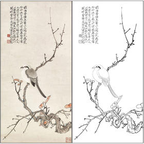于非闇花鸟工笔画白描底稿《红叶伯劳》临摹勾线高清打印稿FA11