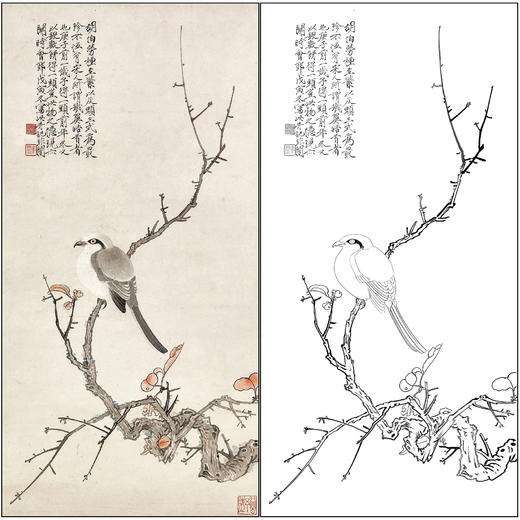 于非闇花鸟工笔画白描底稿《红叶伯劳》临摹勾线高清打印稿FA11 商品图0