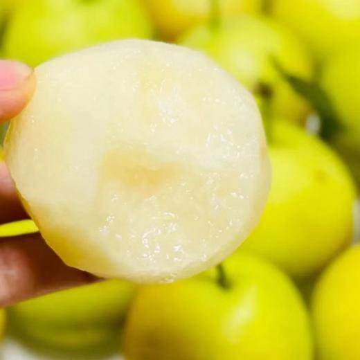 【丁香梨】拍3斤送2斤到手5斤 个头小巧玲珑 甜脆多汁 入口化渣 果肉细腻 现采现发 商品图3