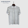 占姆士短袖POLO衫男士2025夏季潮流条纹休闲T恤翻领半袖上衣 商品缩略图4