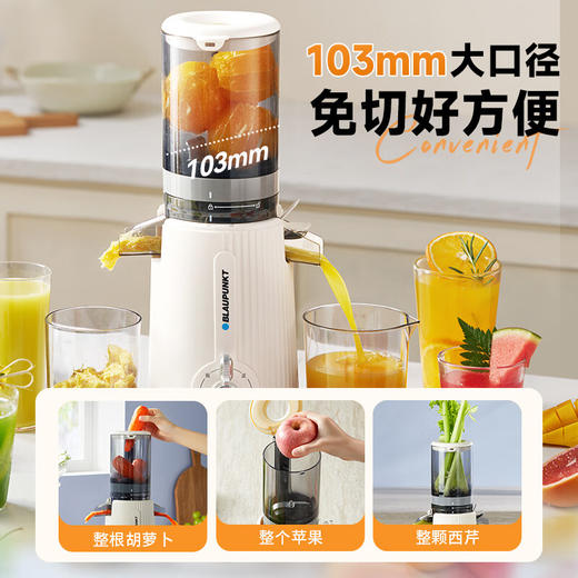 TY 蓝宝（BLAUPUNKT）德国蓝宝榨汁机 蓝宝白色BP-YJ01【鲜享5.0】 商品图1