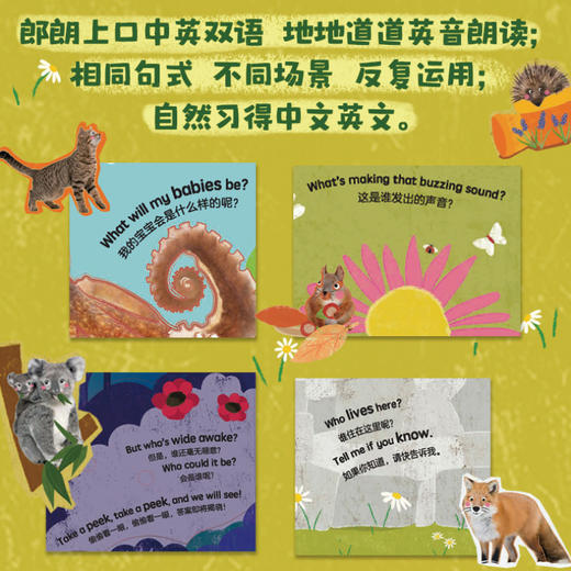 【童趣】DK翻翻书：谁藏在后面 4册 商品图3