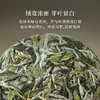 「北路白茶」24木白 福鼎白茶白牡丹2024年新茶紧压饼茶100g 商品缩略图2