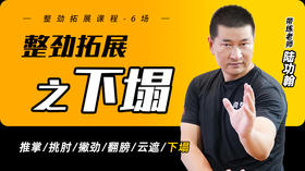整劲拓展之——下塌