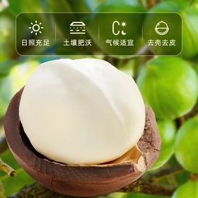 宜倍鲜鲜夏威夷果仁66g/盒