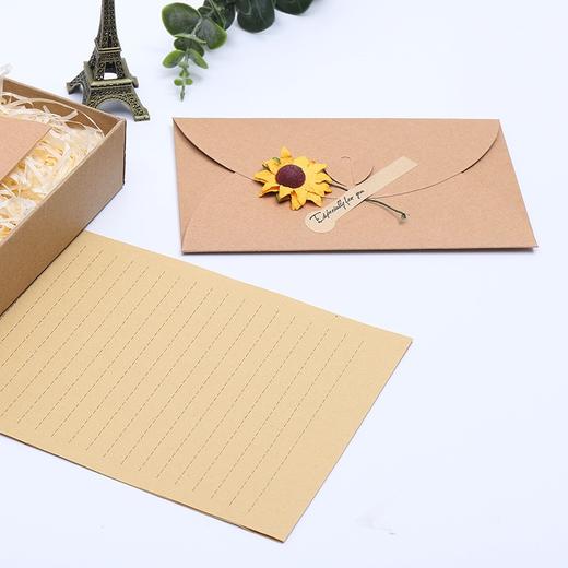 创意信纸信封套装 写信的信纸手写留言小卡片节日贺卡情人节表白干花信笺纸复古牛皮纸 随机1套 商品图6