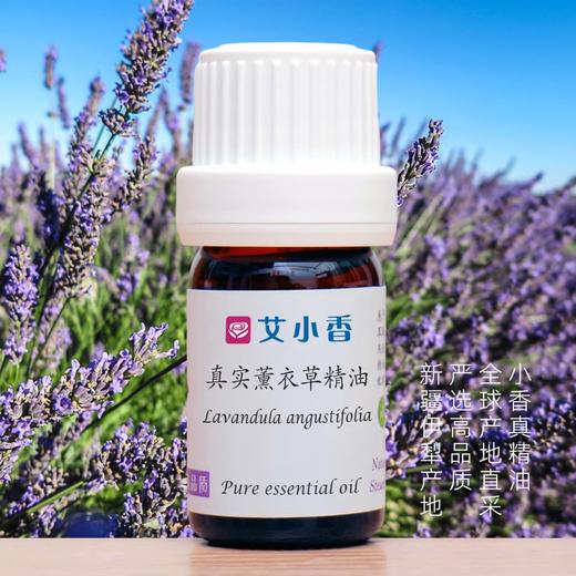 真实薰衣草香薰精油试用 本店满30包邮 商品图0