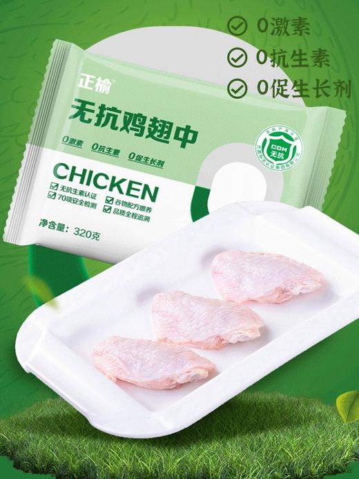 正榆 无抗鸡翅中 商品图2