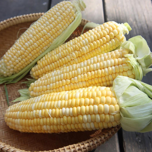 【云南好物】甜脆水果玉米  3斤/5斤 商品图3