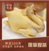 （省内顺丰快递）鸟得喜  金福鸡 商品缩略图1