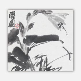 陈太一《剑兰》国画原作33CM*33CM 手绘宣纸花鸟作品