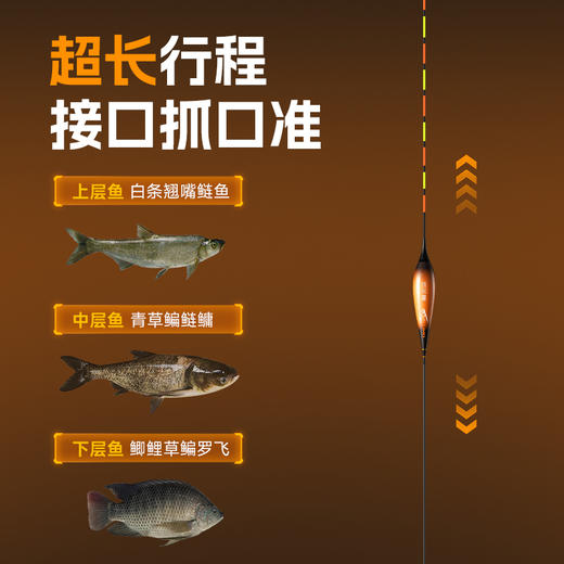 佳钓尼LED夜光浮漂专业钓翘嘴小米翘高灵敏 商品图1