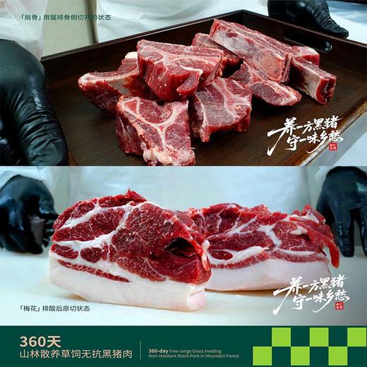 360天 山林散养草饲无抗黑猪肉 肉质紧实弹性有嚼劲 0抗生素0添加剂0药残0激素 0转基因0瘦肉精 商品图0