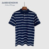 占姆士短袖POLO衫男士2025夏季潮流条纹休闲T恤翻领半袖上衣 商品缩略图2