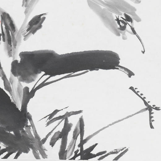 陈太一《剑兰》国画原作33CM*33CM 手绘宣纸花鸟作品 商品图3