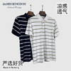 占姆士短袖POLO衫男士2025夏季潮流条纹休闲T恤翻领半袖上衣 商品缩略图0