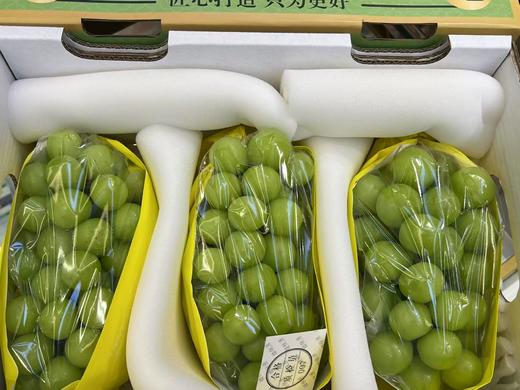 楼铁源阳光玫瑰（净果3斤） 商品图0