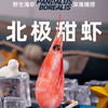 大海主义北极甜虾纯净野生，鲜甜弹嫩 商品缩略图0