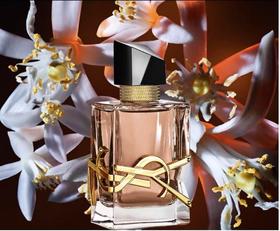 【YSL圣罗兰】B1FYSL圣罗兰沙漠百合30ml