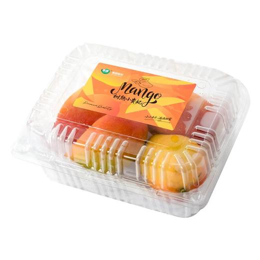 树上熟贵妃芒500g/份 商品图1