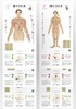 《黄帝内经》十二经脉24节气挂图 传承经典国粹，顺时经络养生。每年都不用换的经络养生·节气挂历。邓特伟医师原创编绘，匠心制作。献礼“邓特伟五行经络”连续直播1700天 商品缩略图12