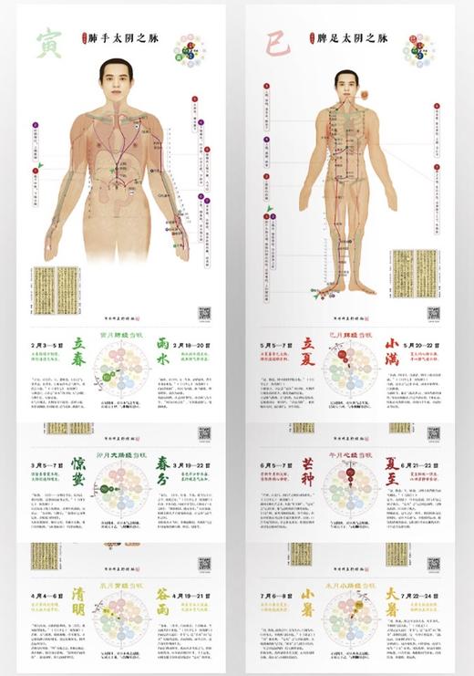 《黄帝内经》十二经脉24节气挂图 传承经典国粹，顺时经络养生。每年都不用换的经络养生·节气挂历。邓特伟医师原创编绘，匠心制作。献礼“邓特伟五行经络”连续直播1700天 商品图12