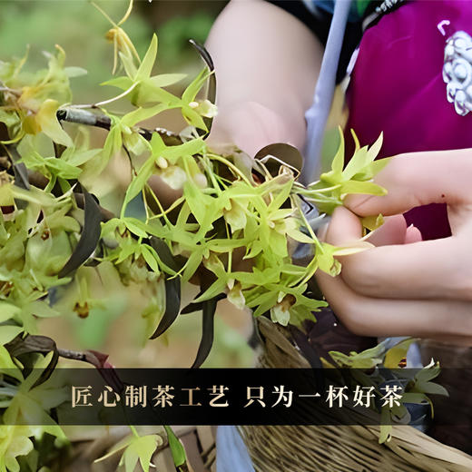 2025年【班章石斛】古寨春自主研发产品云南普洱茶云南铁皮石斛的邂逅 357g/饼 商品图8