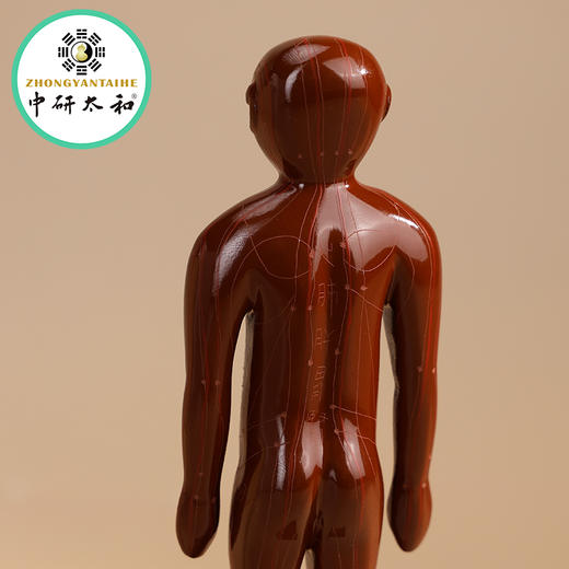 仿西汉经穴髹漆铜人像 木雕摆件 非遗成都漆艺技法中医文创 商品图4