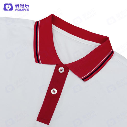 惠安一中（夏）高中 商品图5