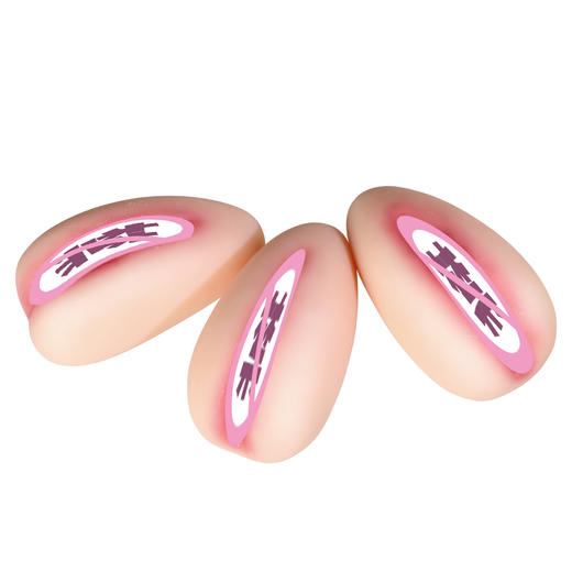 漫渺豆阴女生阴道倒膜手办收藏男用情趣用品自慰性用品飞机杯厂家批发 商品图6