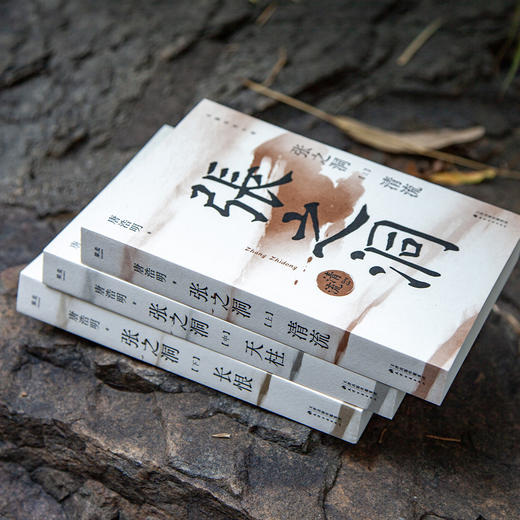 张之洞（马斯克崇拜的中国人！一本书了解张之洞为谋求中国的富强而探索、挣扎的一生） 商品图3