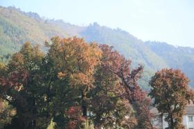 秋季自驾路线推荐