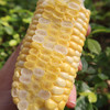 【云南好物】甜脆水果玉米  3斤/5斤 商品缩略图1