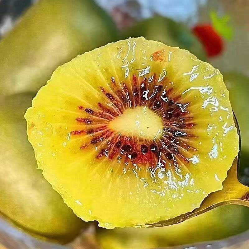 四川蒲江红心猕猴桃浓浓的汁水，甜爆了!