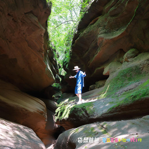 核销入住加赠大峡谷票，仅100张领完截止！25年9月复团【袋鼠爸爸延安行丨延安万达锦华酒店】紧邻方塔湖和红街，房间干净整洁可观湖景，距宝塔山、枣园革命旧址、鲁迅艺术馆旧址，杨家岭等景区10-30分钟到 商品图10