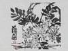 陈太一《凌霄花》国画原作33CM*33CM 手绘宣纸花鸟作品 商品缩略图3