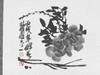 陈太一《月季》国画原作33CM*33CM 手绘宣纸花鸟作品 商品缩略图4