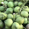  海南带皮椰青新鲜椰子汁多肉嫩 商品缩略图2