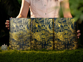 《山海经》2025震撼重生| 烫金典藏礼盒装全3册|全本全注全解，700+古图插画|全百科拓展，一次读懂华夏文明起源|第一次窥见真正的「山海宇宙」！