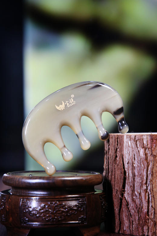 水滴五经梳 商品图0