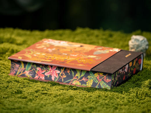 【中国浪漫主义文学源头】《楚辞译注》（彩图珍藏本）享誉40年的经典译注本，豆瓣9.6分口碑之作，全本全注全译|250幅彩图|三面刷边|布面烫金|赠藏书票 商品图5