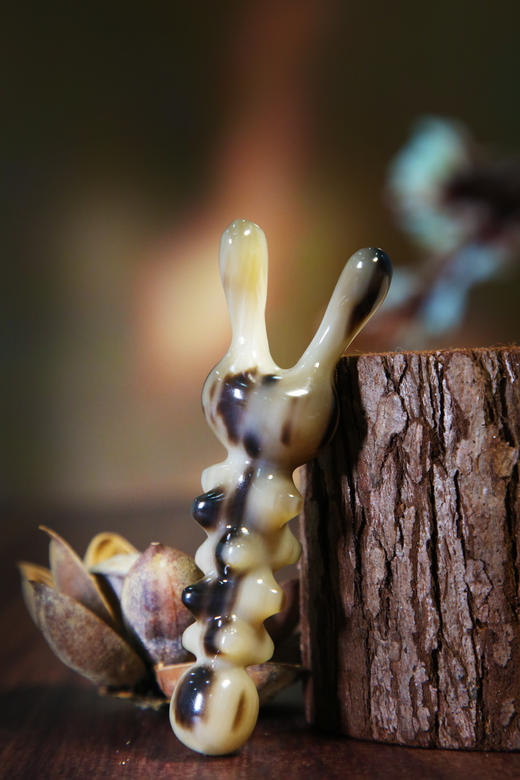 52043 海参美鼻器 商品图0