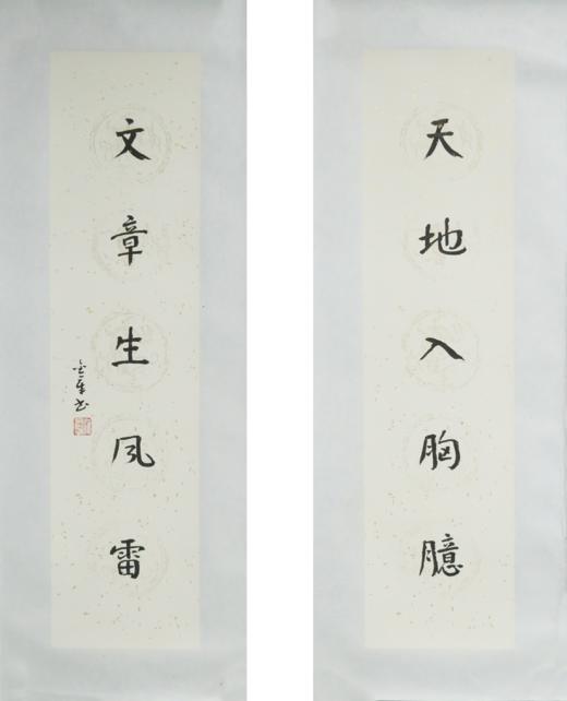 陈金章《天地入胸臆 文章生风雷》书法原作67CM*17CM手写宣纸对联 商品图5
