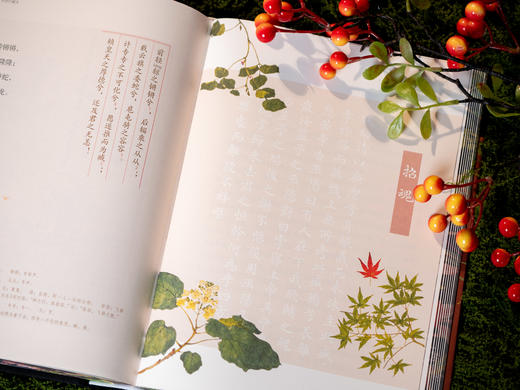 【中国浪漫主义文学源头】《楚辞译注》（彩图珍藏本）享誉40年的经典译注本，豆瓣9.6分口碑之作，全本全注全译|250幅彩图|三面刷边|布面烫金|赠藏书票 商品图8