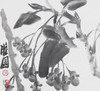 陈太一《凤仙花》国画原作33CM*33CM 手绘宣纸花鸟作品 商品缩略图1