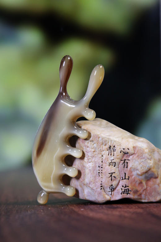 S5044 鼻刮按摩梳 商品图0