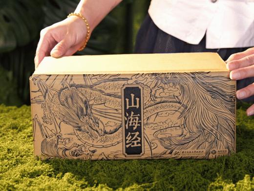 《山海经》2025震撼重生| 烫金典藏礼盒装全3册|全本全注全解，700+古图插画|全百科拓展，一次读懂华夏文明起源|第一次窥见真正的「山海宇宙」！ 商品图10